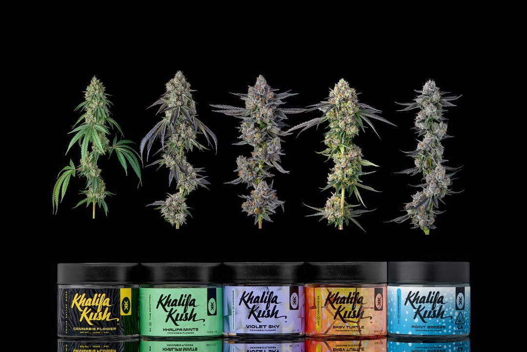 khalifa kush flower