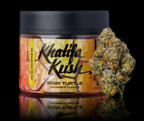 khalifa kush baby turtle strain